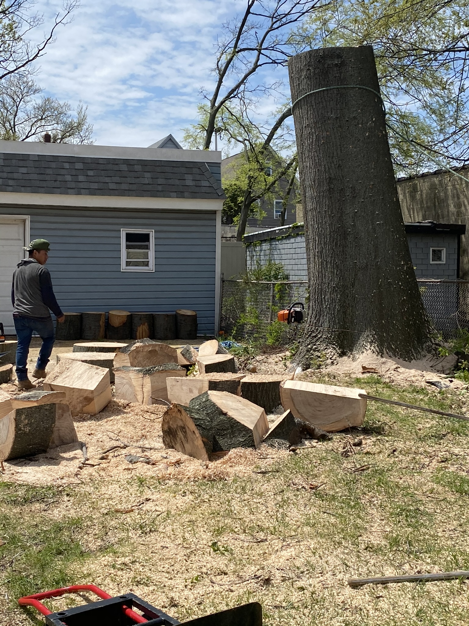 Project step 1